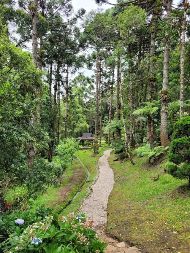 Parque da Cerveja Campos do Jordão