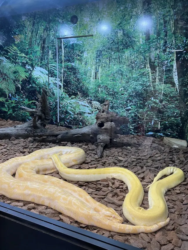 Animais Incríveis Campos do Jordão