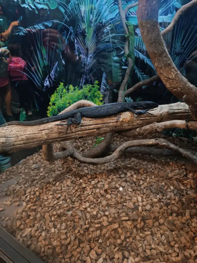 Animais Incríveis Campos do Jordão