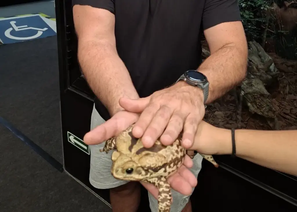 Animais Incríveis Campos do Jordão