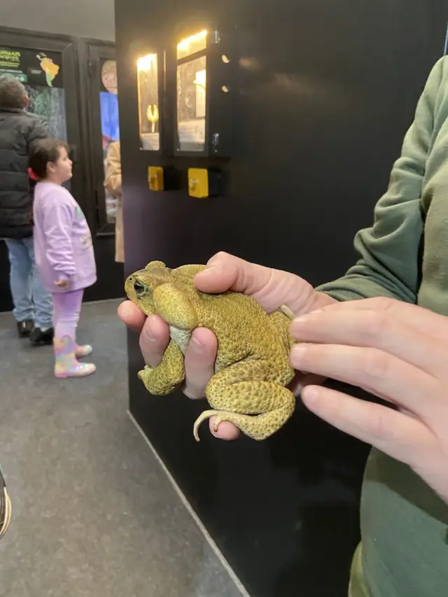 Animais Incríveis Campos do Jordão