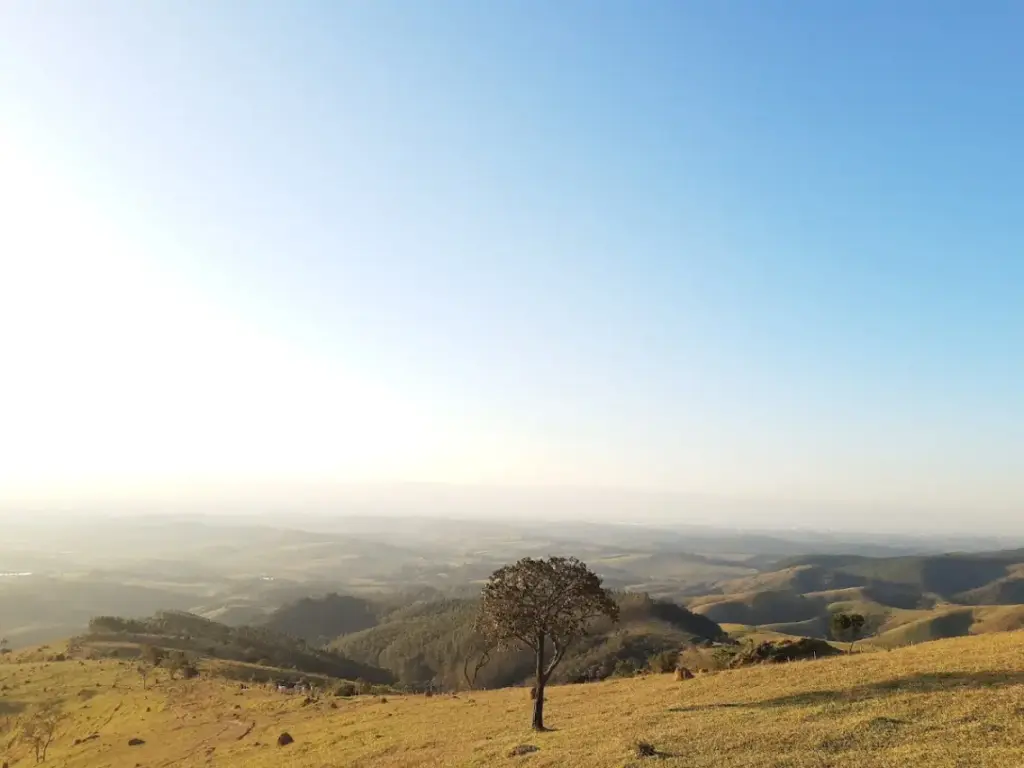 Pedra do Ombro