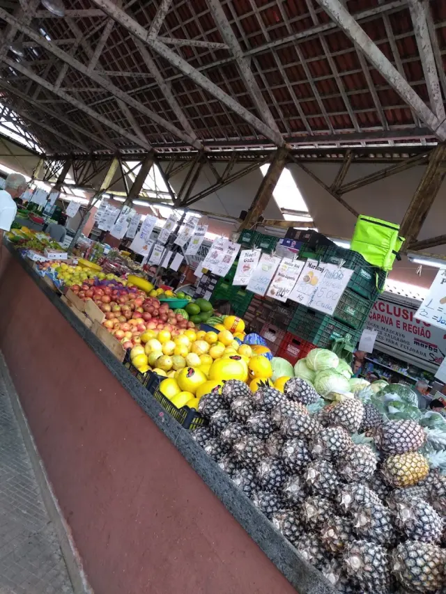 Mercado Municipal