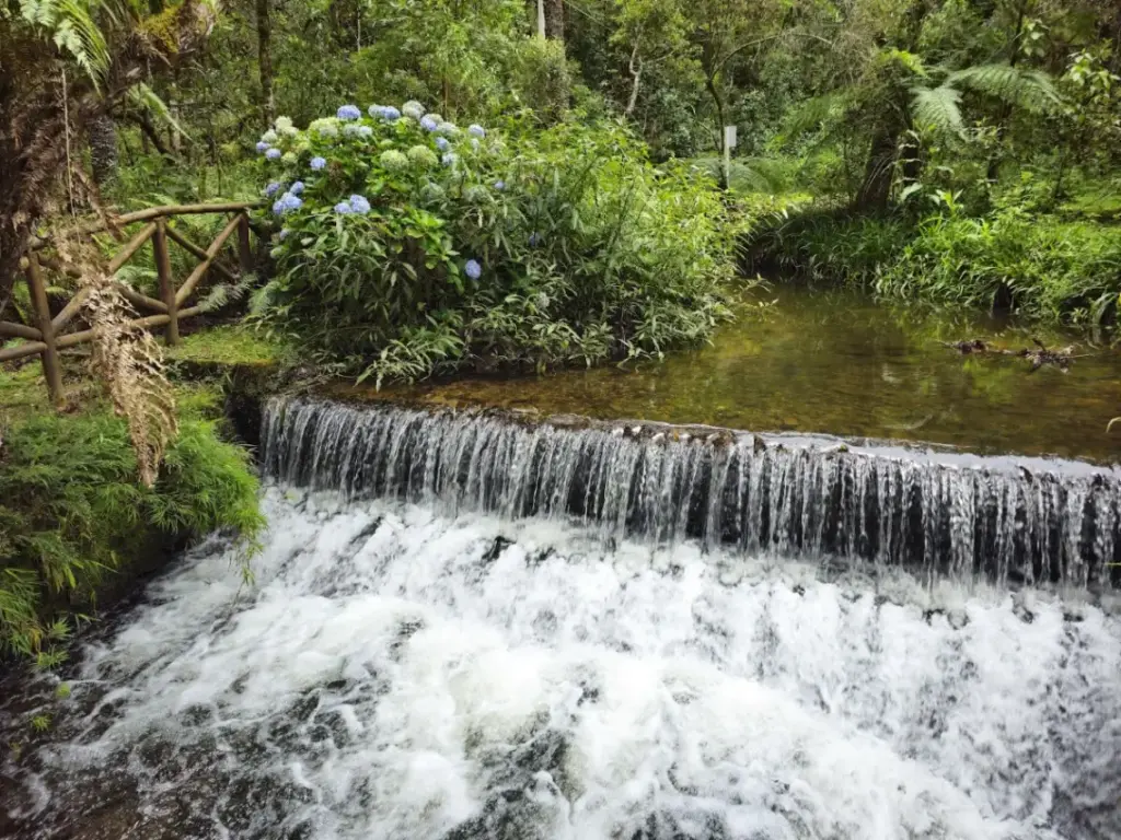 Parque Estadual de Campos do Jordão