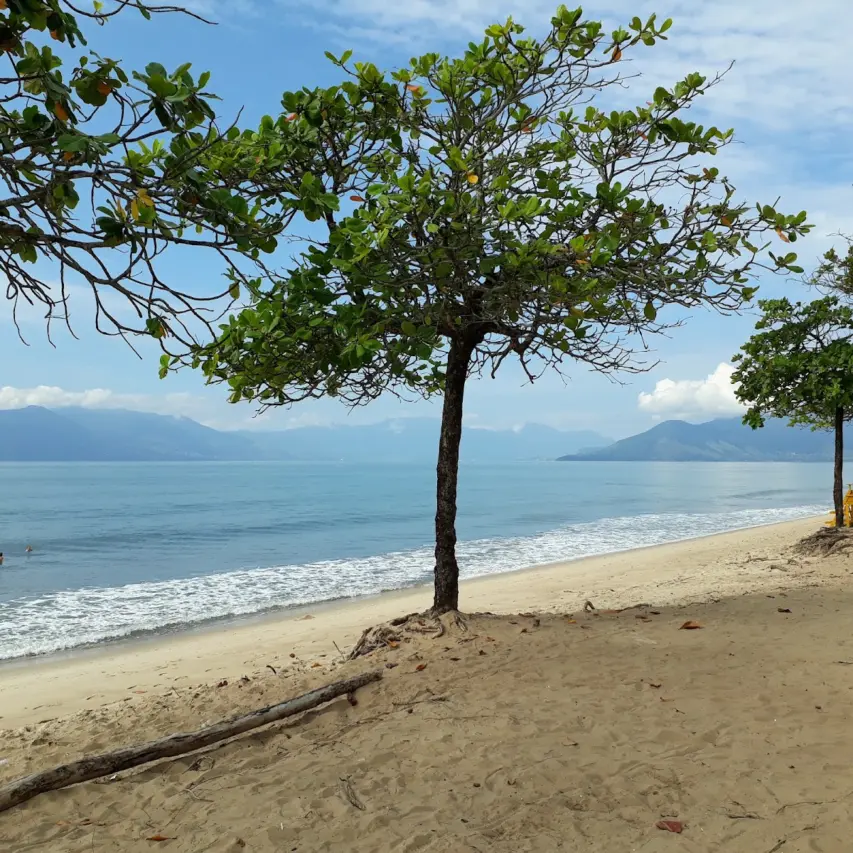 Praia Martim de Sá