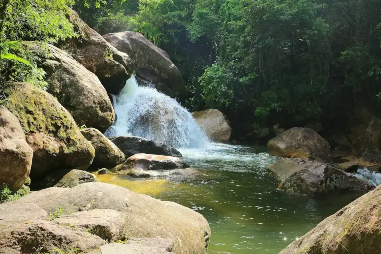 Parque Estadual da Serra do Mar – Núcleo Caraguatatuba