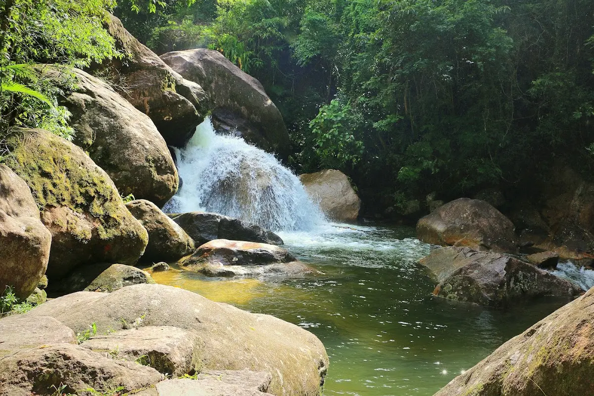 Parque Estadual da Serra do Mar – Núcleo Caraguatatuba