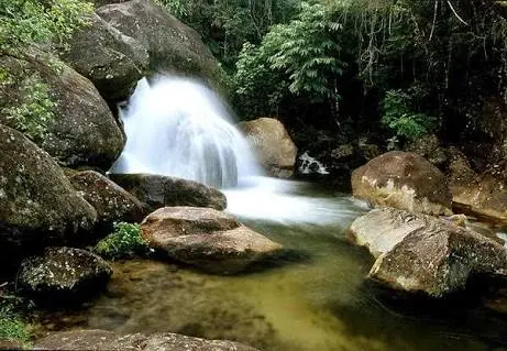 Parque Estadual da Serra do Mar – Núcleo Caraguatatuba
