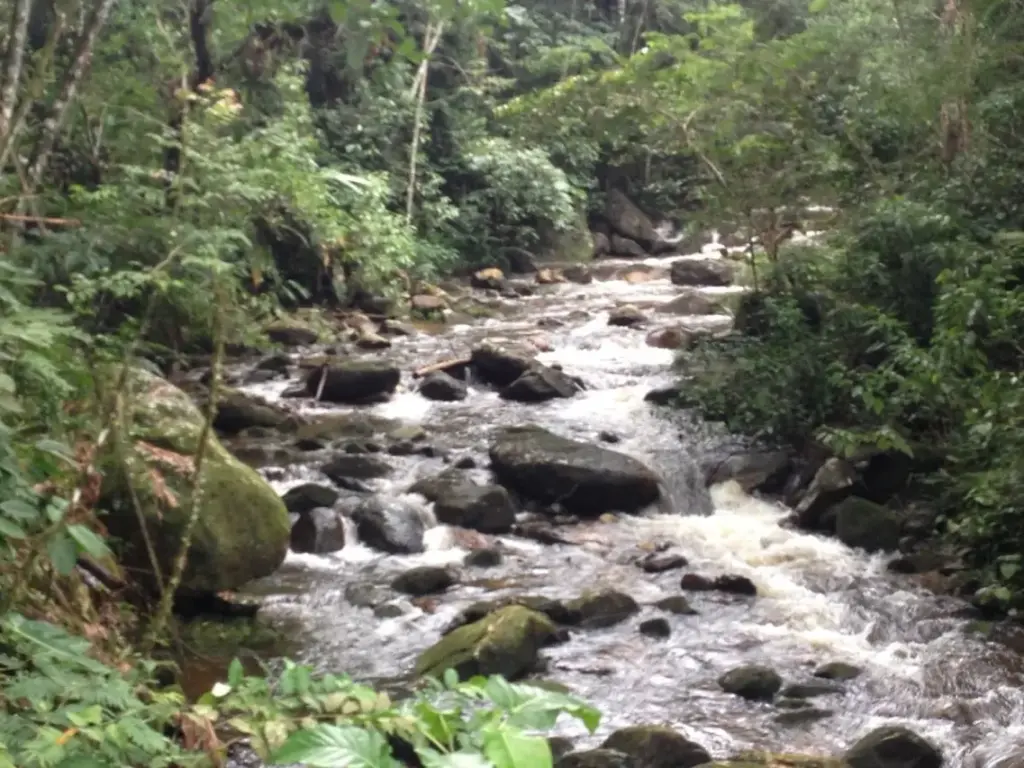 Parque Estadual da Serra do Mar – Núcleo Caraguatatuba