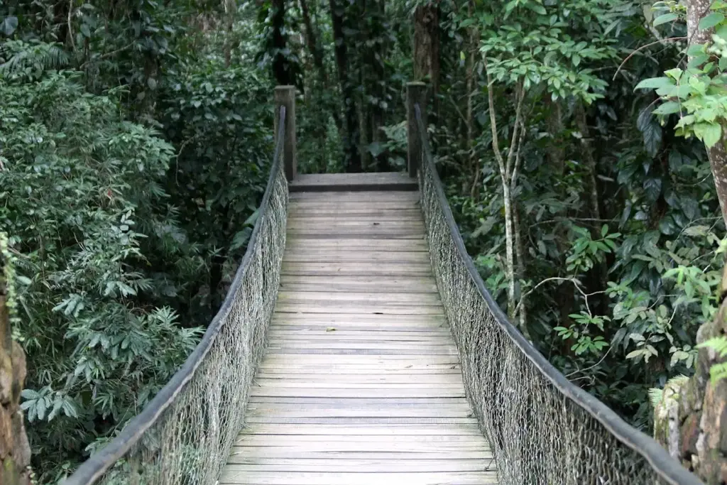 Parque Estadual da Serra do Mar – Núcleo Caraguatatuba