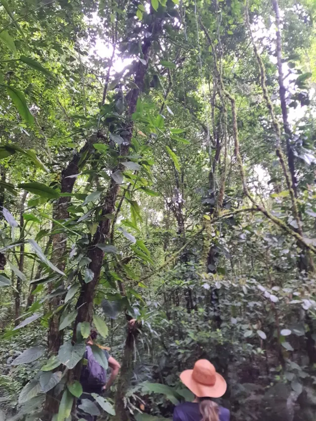 Parque Estadual da Serra do Mar – Núcleo Caraguatatuba