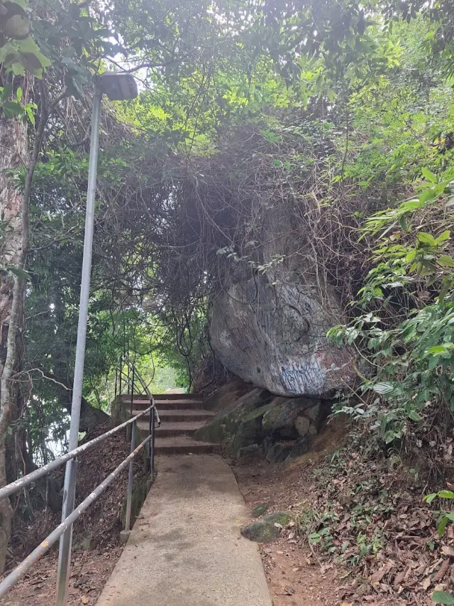 Pedra do Jacaré