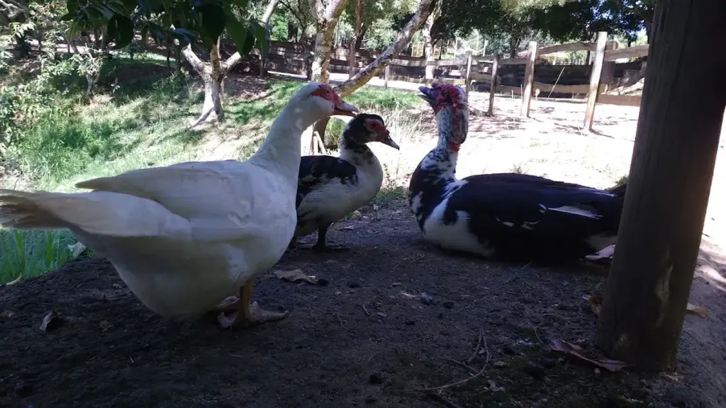 Parque Ecológico Municipal Anthero dos Santos