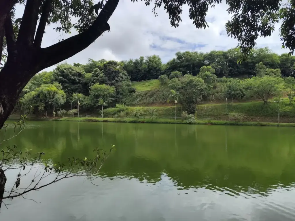 Parque Ecológico Municipal Anthero dos Santos