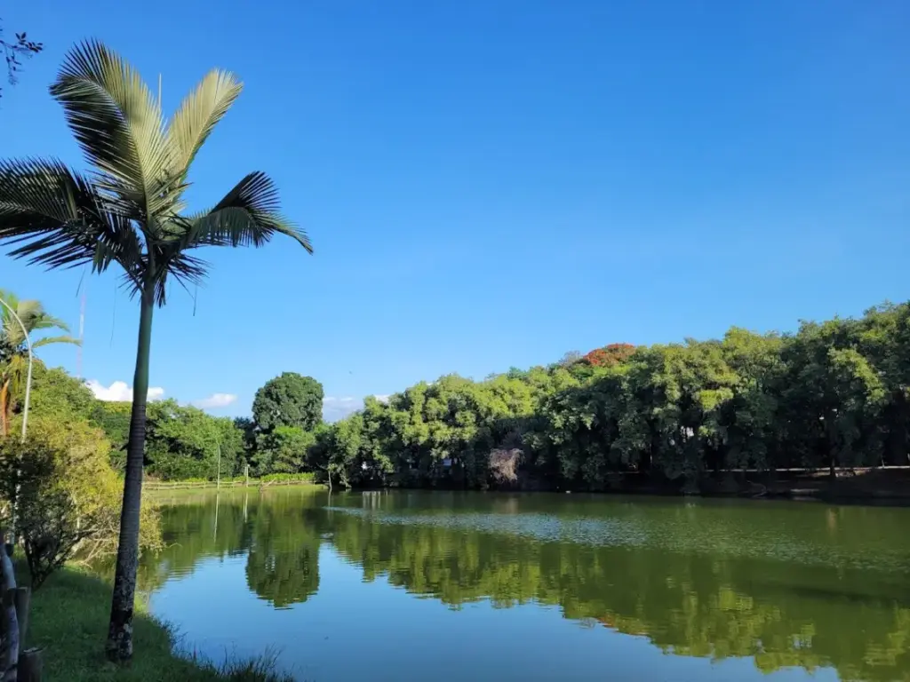 Parque Ecológico Municipal Anthero dos Santos