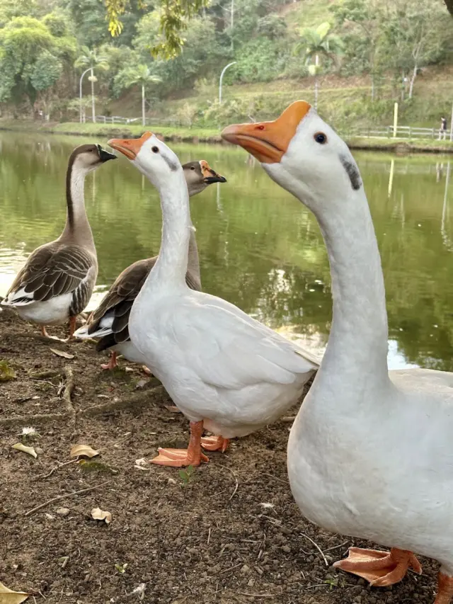 Parque Ecológico Municipal Anthero dos Santos