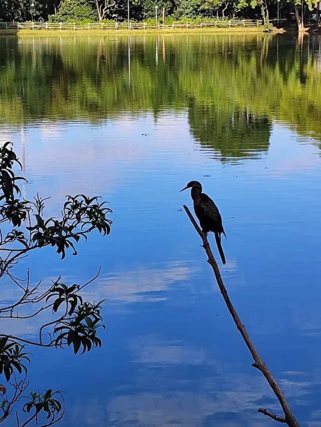 Parque Ecológico Municipal Anthero dos Santos