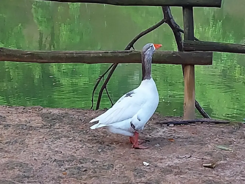 Parque Ecológico Municipal Anthero dos Santos