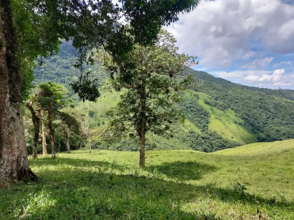 Cachoeira do Onça