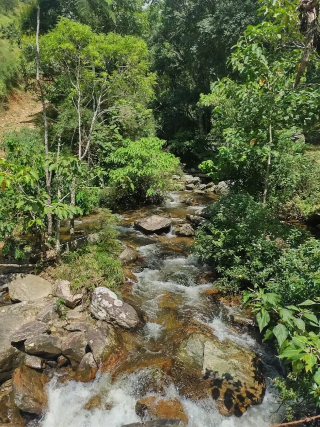 Cachoeira do Onça