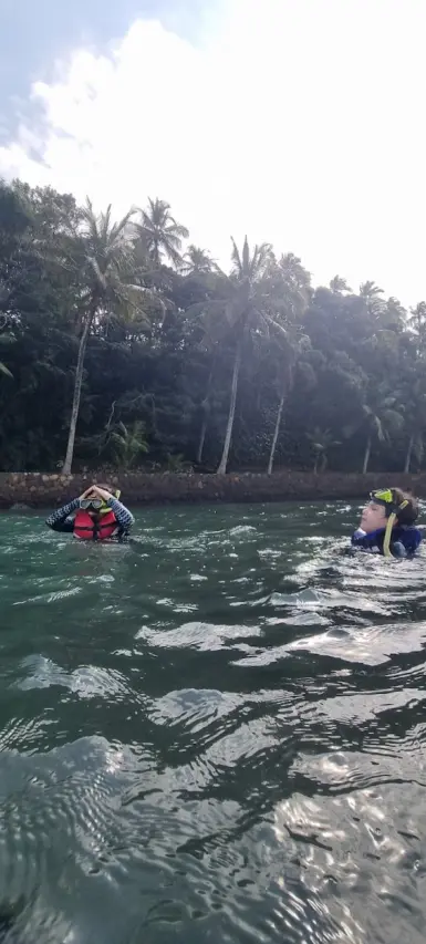 Ilha das Cabras