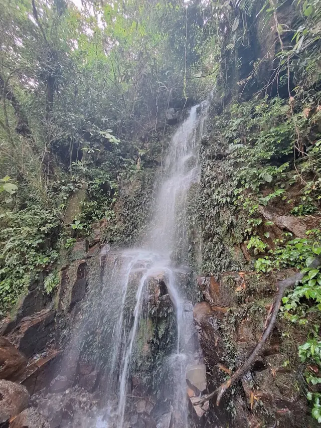Parque Estadual de Ilhabela