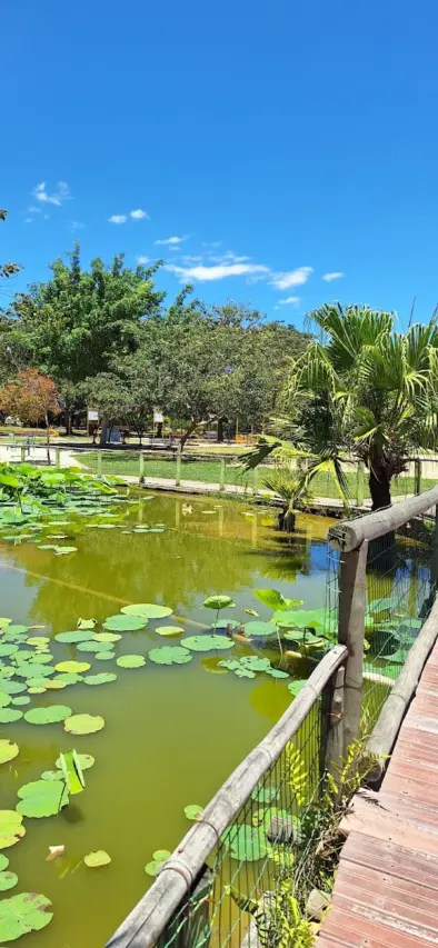 Parque dos Eucaliptos