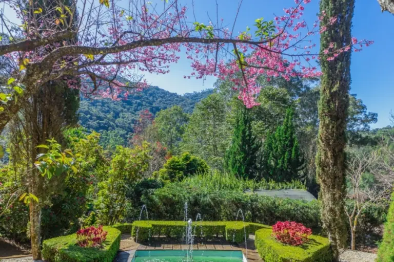 Jardim dos Pinhais Ecco Parque