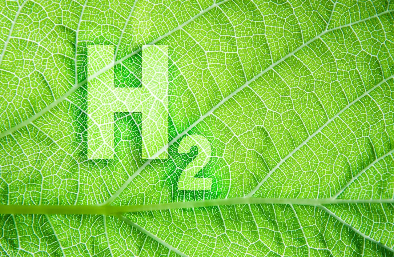 Com Brasil em foco, especialistas debatem hidrogênio verde na América Latina