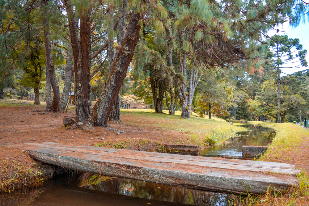 horto-florestal-campos-do-jordao