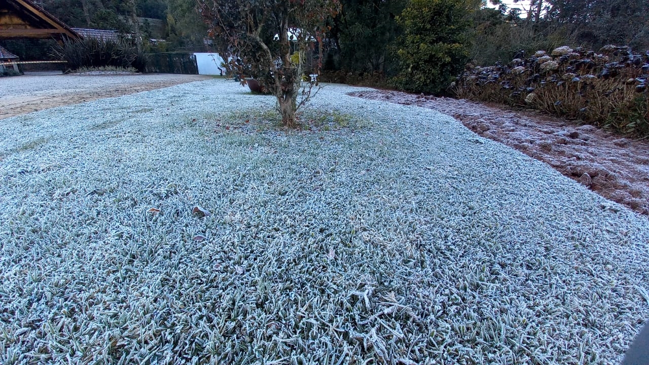 Julho começa com frio intenso e Geada em Campos do Jordão