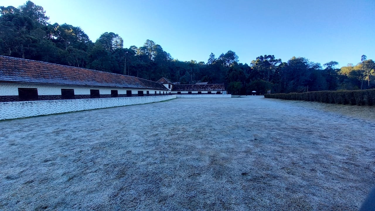 Julho começa com frio intenso e Geada em Campos do Jordão