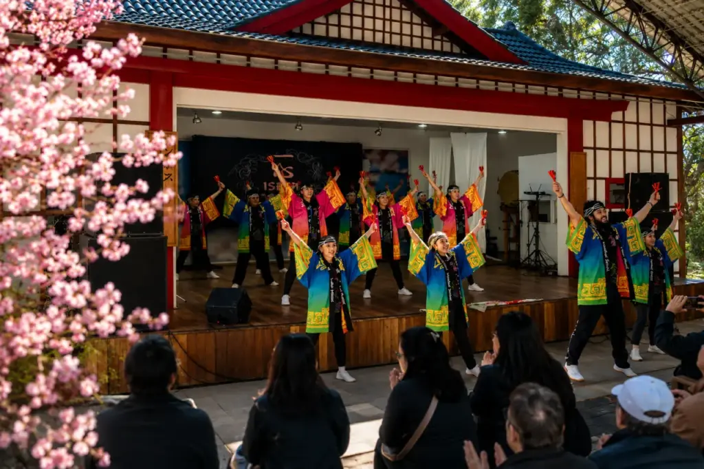 Festa da Cerejeira em Flor segue com programação até 16 de agosto em Campos do Jordão
