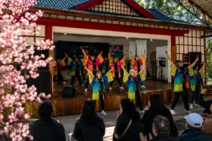 Festa da Cerejeira em Flor segue com programação até 16 de agosto em Campos do Jordão