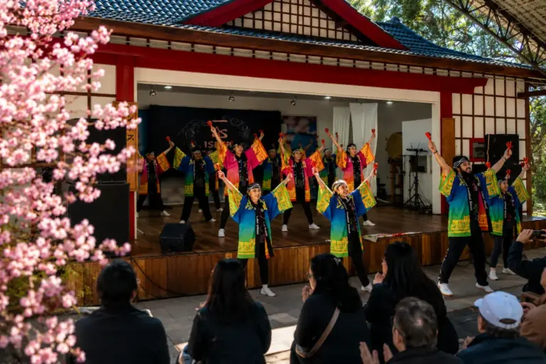 Festa da Cerejeira em Flor segue com programação até 16 de agosto em Campos do Jordão
