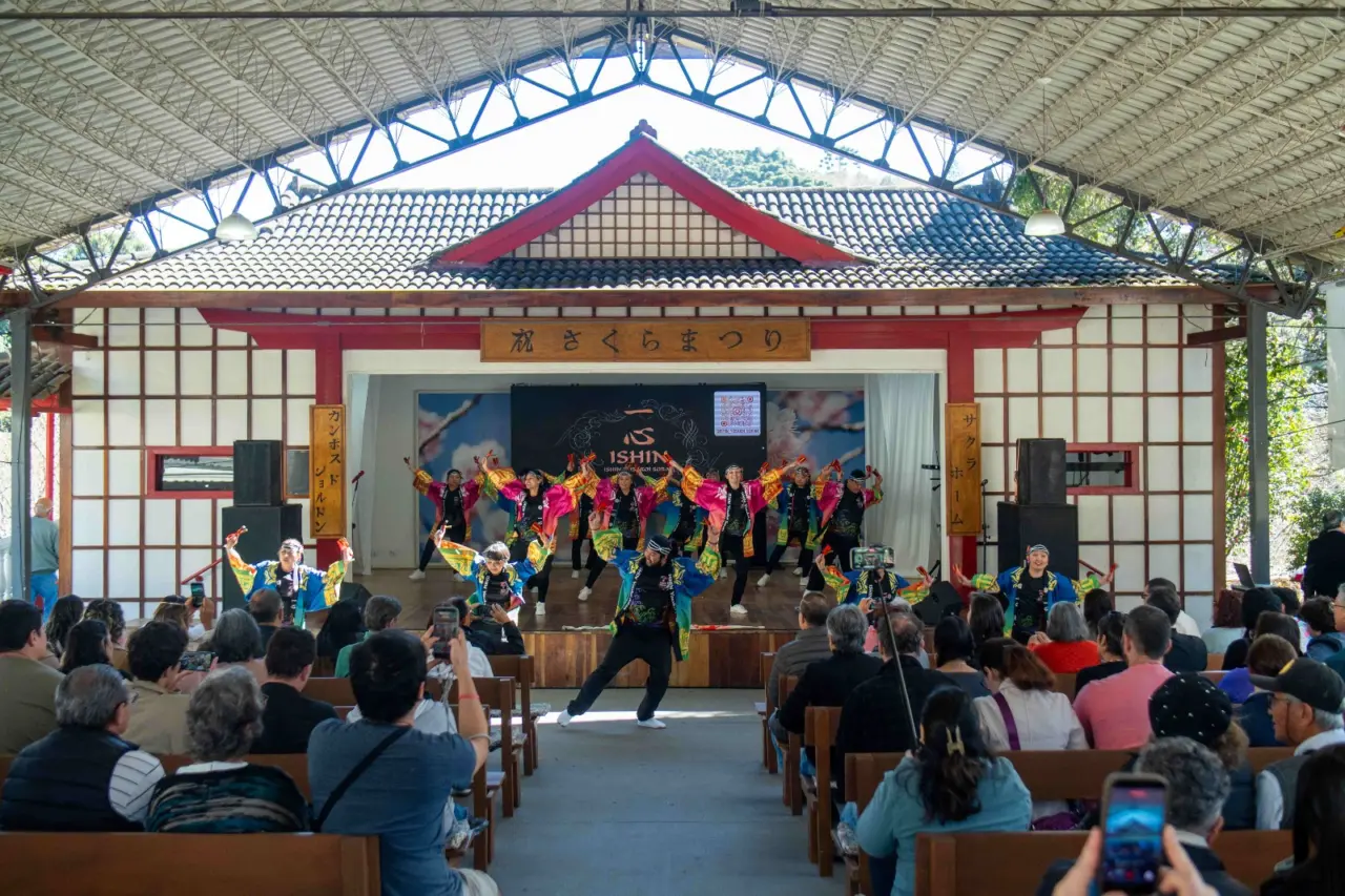 Festa da Cerejeira em Flor segue com programação até 16 de agosto em Campos do Jordão