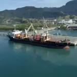 Porto de São Sebastião reduz tarifas em 35% e mira novas cargas no Litoral Norte
