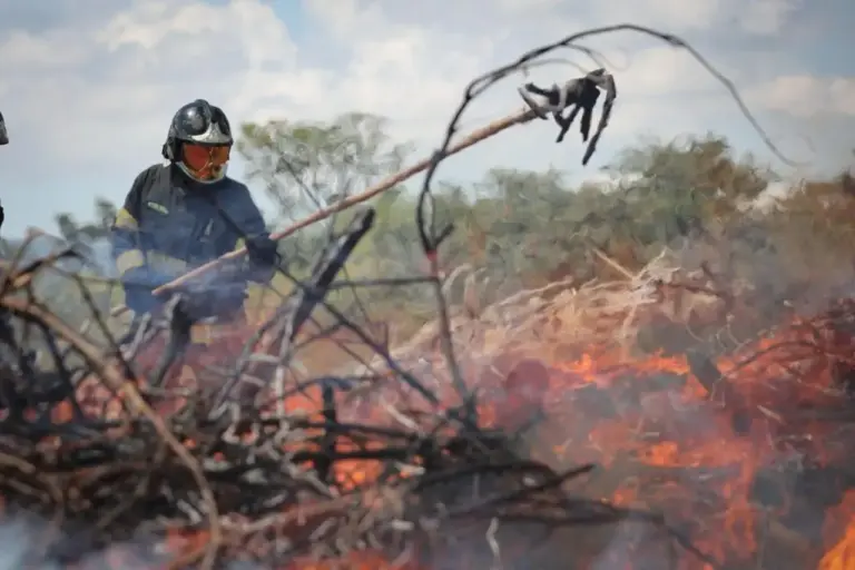 Defesa Civil dispara alerta vermelho para queimadas