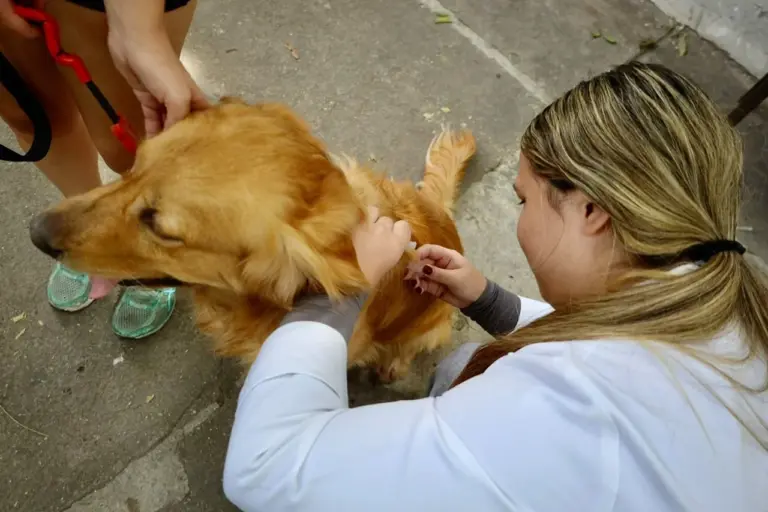 Jacareí realiza vacinação antirrábica no Parque Meia-Lua nesta terça-feira