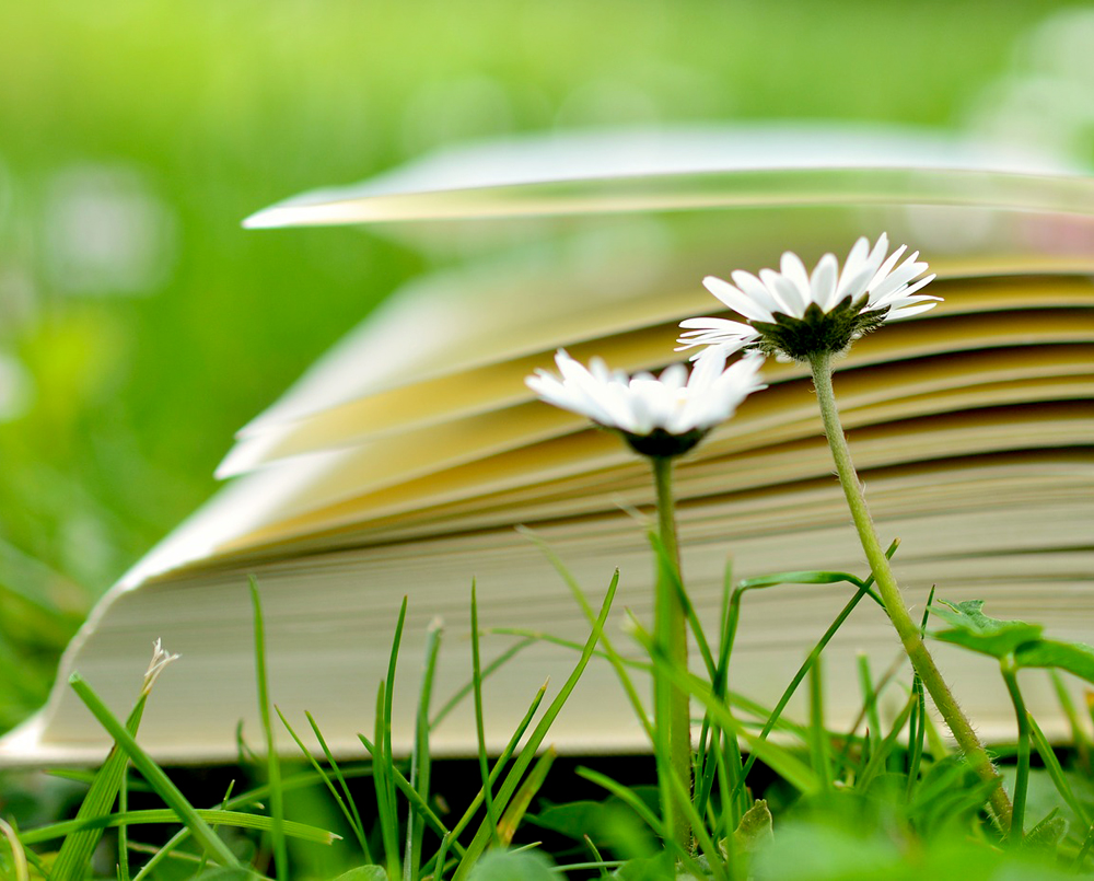 jornada-litertura-1
