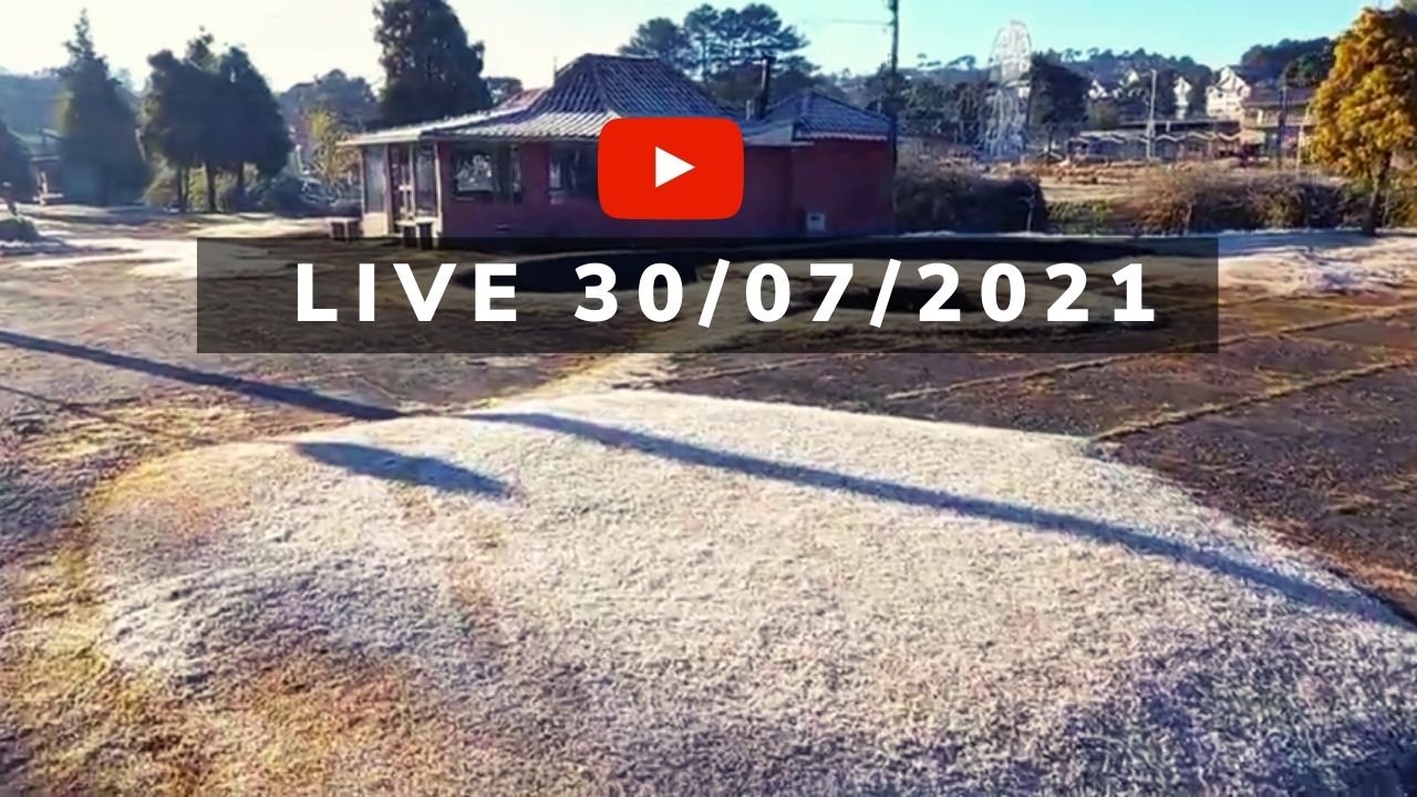 Walking Tour da Neve em Campos do Jordão Acompanhe ao Vivo