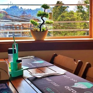 Você conhece o Mini Bar Jaguaribe e o Restaurante Roda de Carroça em Campos do Jordão?