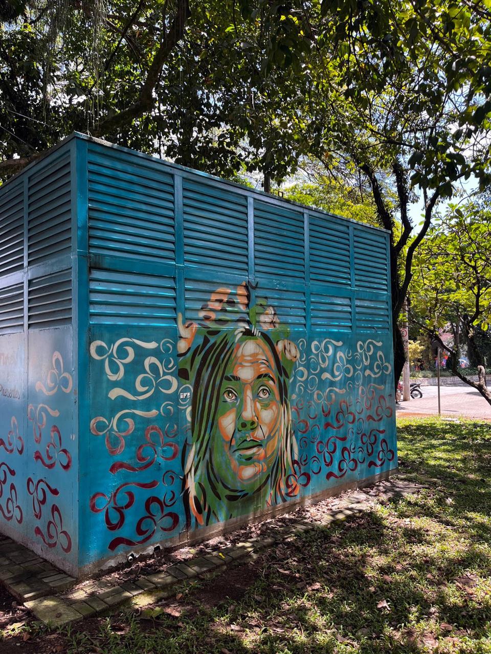 Entrevista com Felipe Rezende: Artista e Muralista Reflete Sobre Sua Trajetória e Projetos Recentes