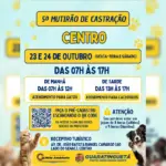 Guaratinguetá abre pré-cadastro para mutirão de castração no Centro