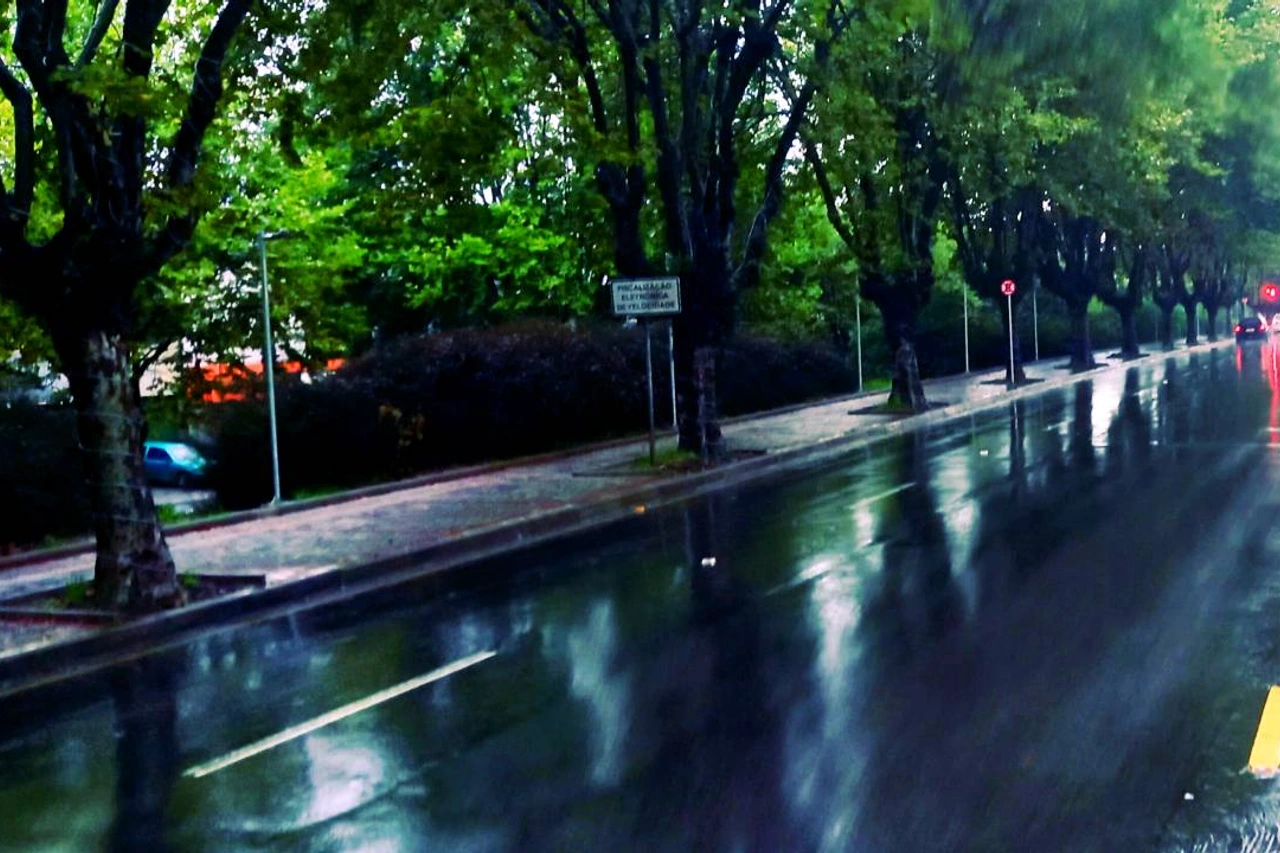 Imagem de arquivo de rua arborizada com asfalto molhado e veículos ao fundo.