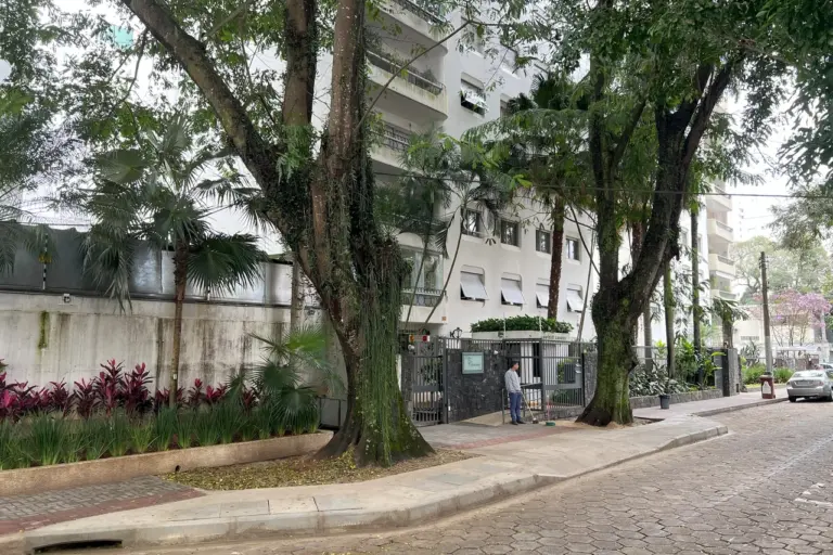 São José prevê reformar calçadas de 29 ruas sem remover árvores