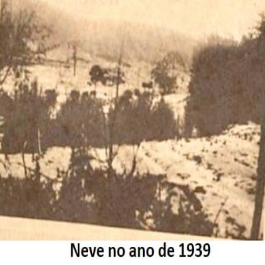 Neve em Campos do Jordão, saiba tudo a respeito