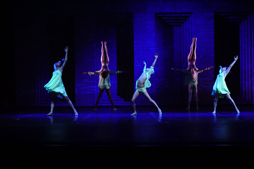 new-fest-dance-campos-do-jordao-1
