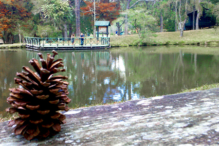 Horto Florestal em Campos do Jordão