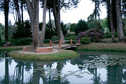 Mosteiro das Monjas Beneditinas